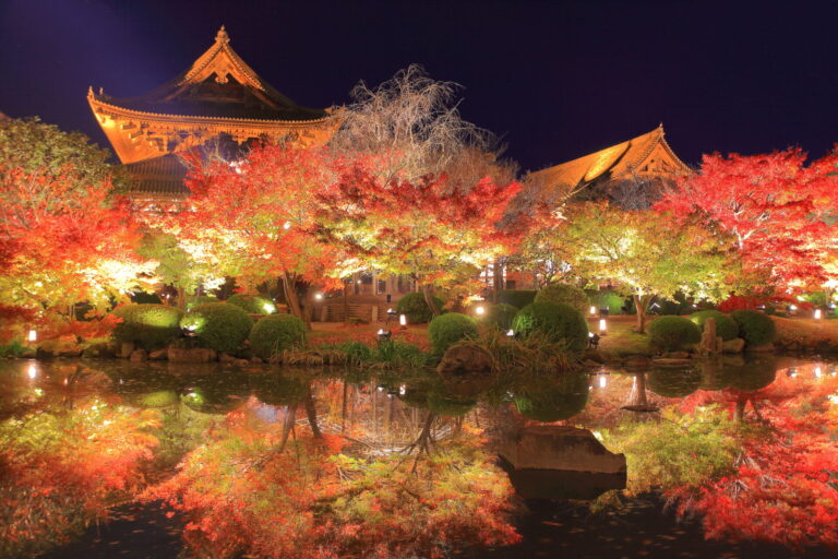 世界遺産 東寺紅葉ライトアップと金堂講堂夜間特別公開情報をご紹介 VELTRA旅行ガイド