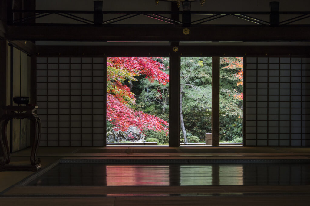 京都南禅寺の和室から見える美しい紅葉