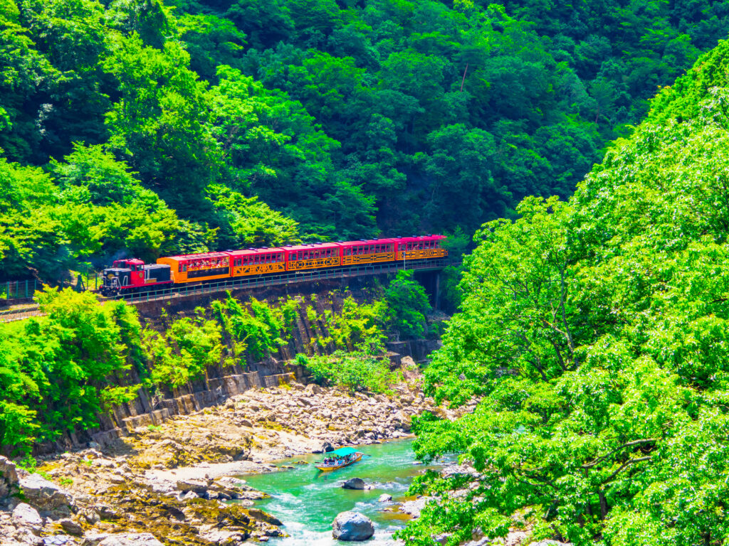 京都嵐山の嵯峨野トロッコ列車が走る様子