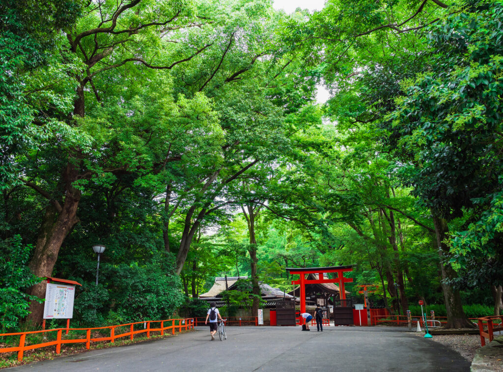 京都　糺の森