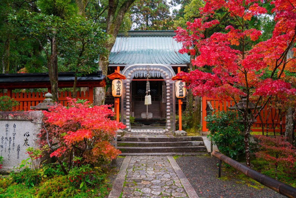 赤山禅院の美しい紅葉