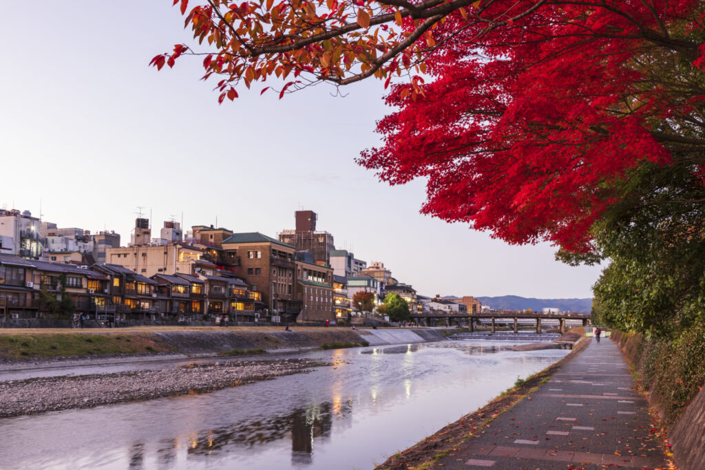 京都・秋の鴨川と紅葉
