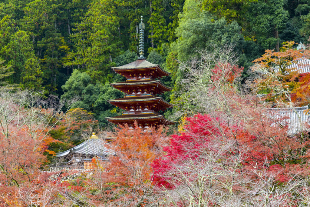 日帰りで楽しむ奈良の紅葉