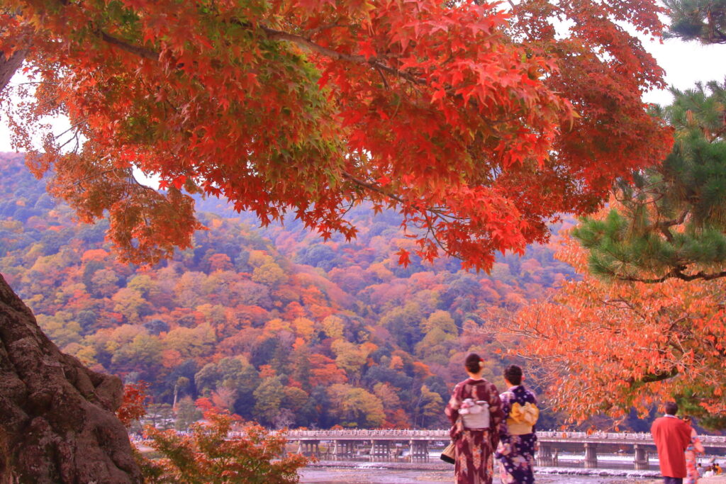 嵐山（京都市右京区）渡月橋周辺の紅葉。