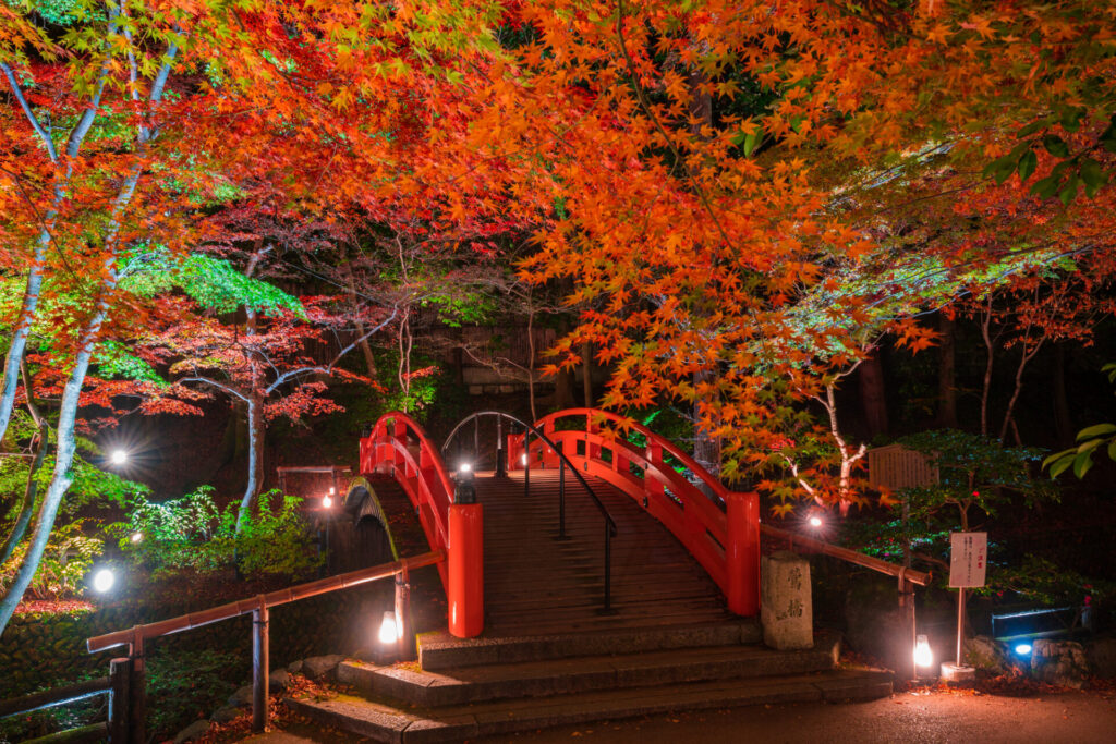 京都　紅葉