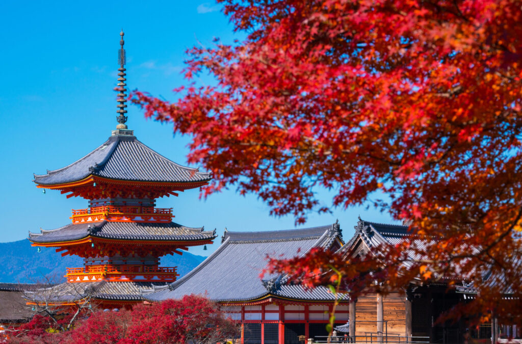 京都紅葉