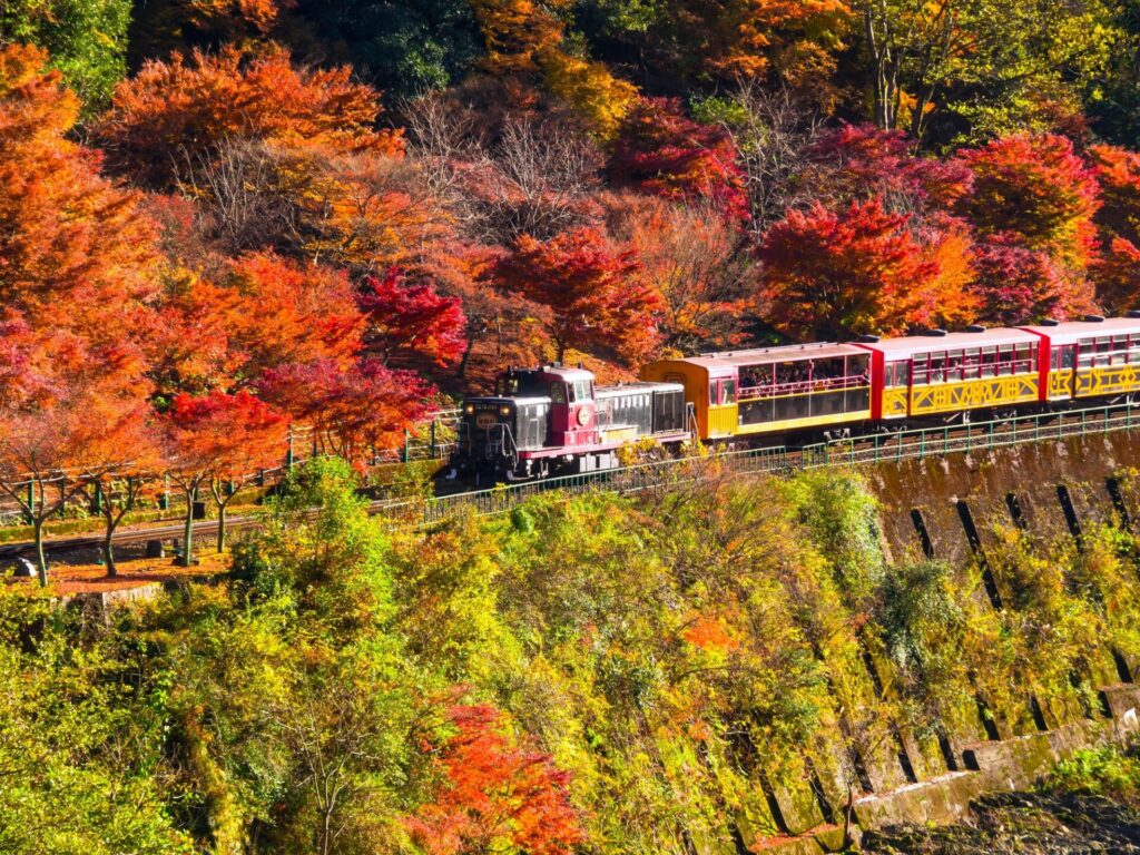 晴れの日の紅葉のトロッコ列車