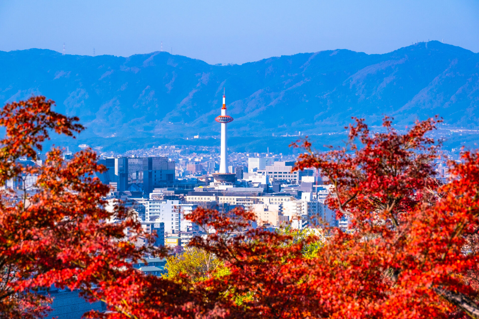 京都の街並みと紅葉