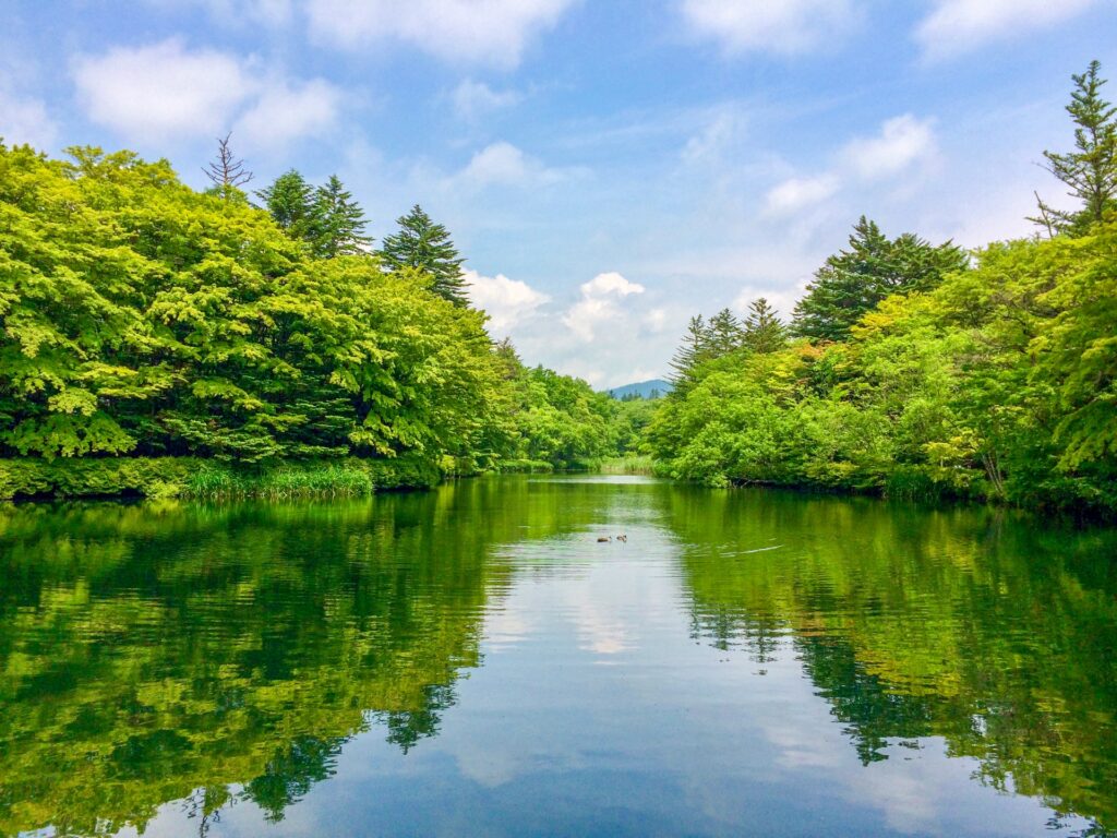 軽井沢観光の雲場池の景色