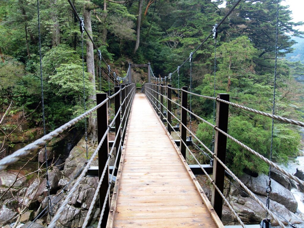 屋久島観光のヤクスギランド