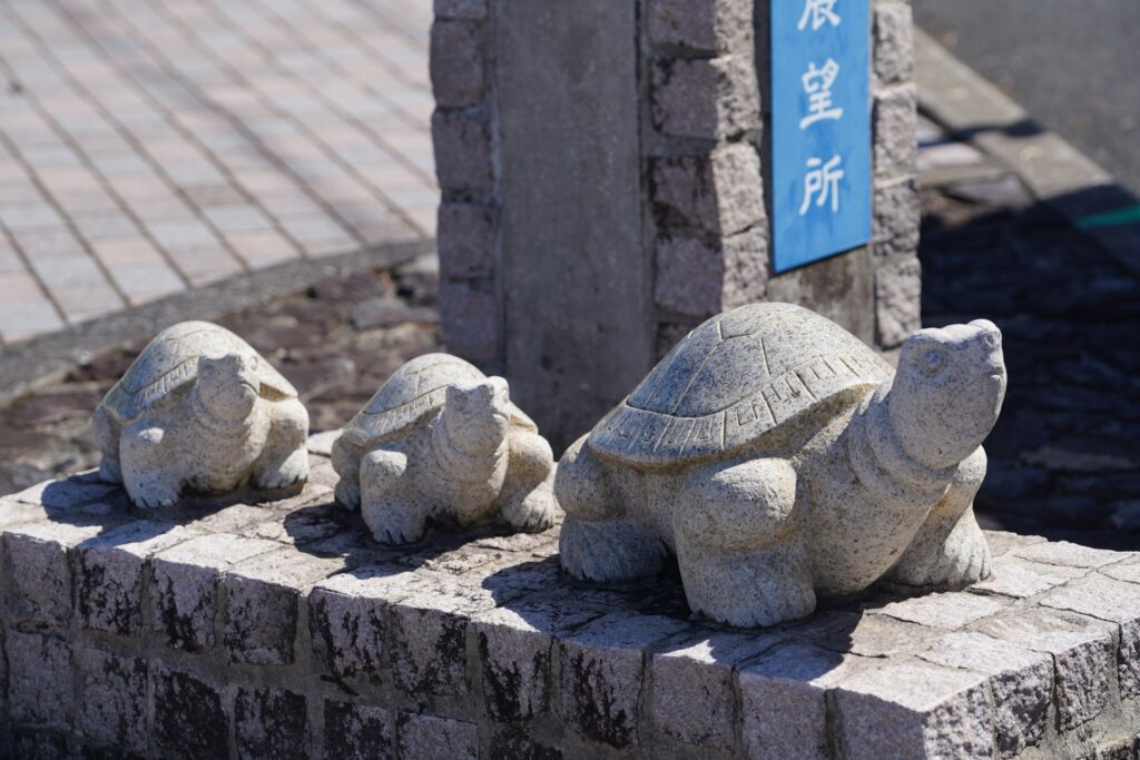 屋久島観光の東シナ海展望所