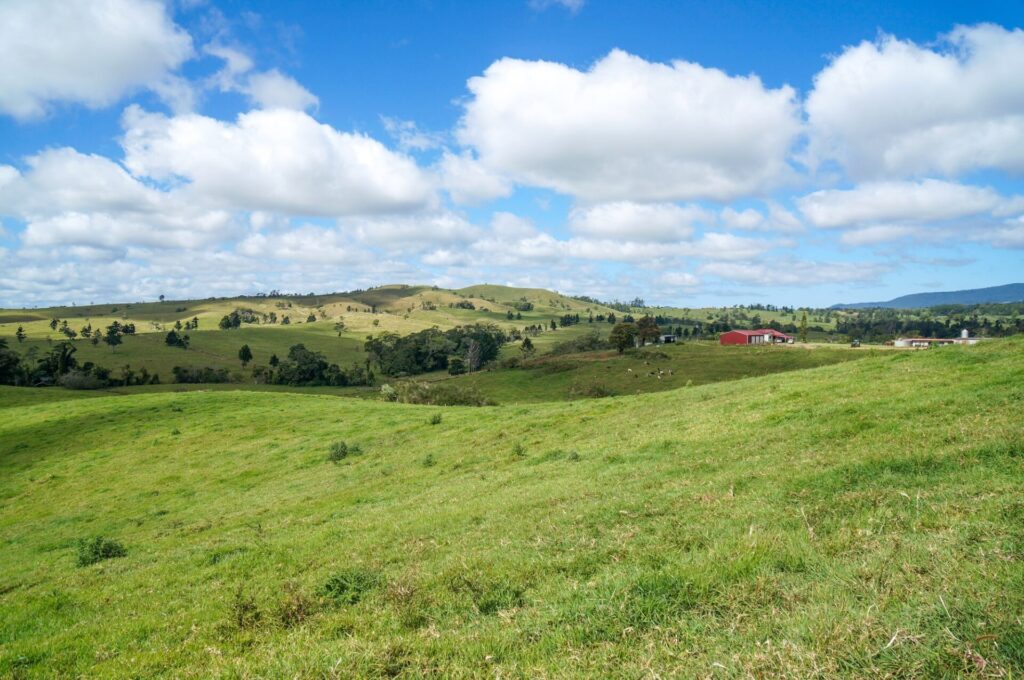 アサートンテーブルランドの青々とした高原の風景 