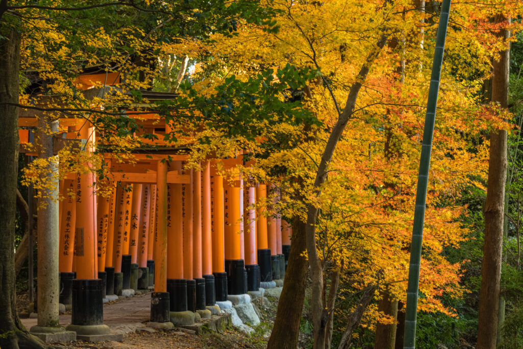 京都・伏見稲荷大社と紅葉