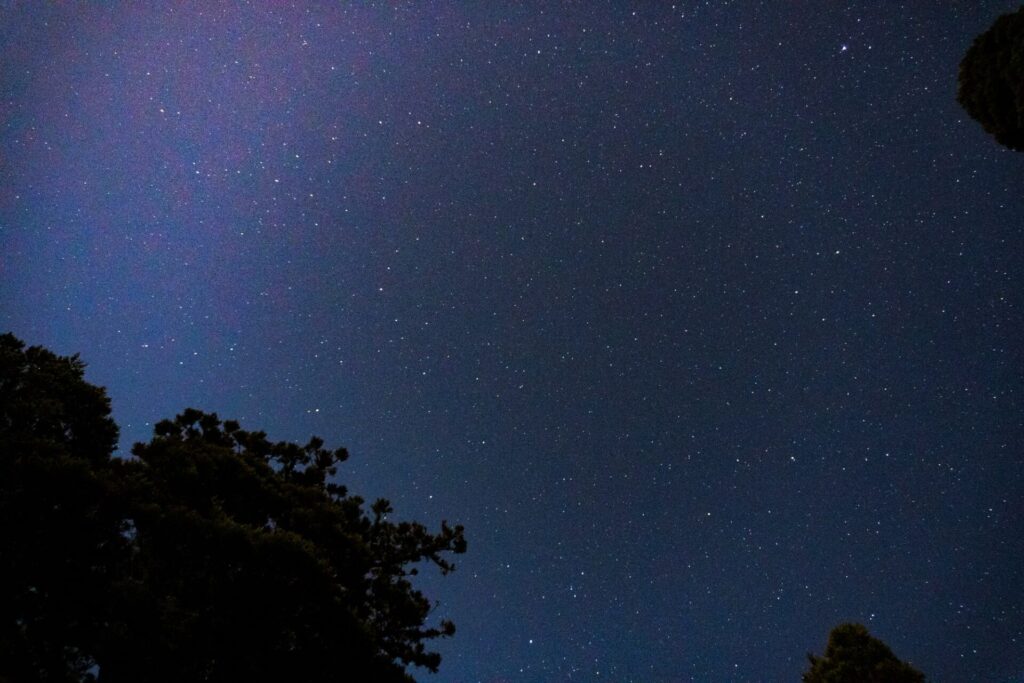  屋久島の鹿之沢小屋から見る夜空