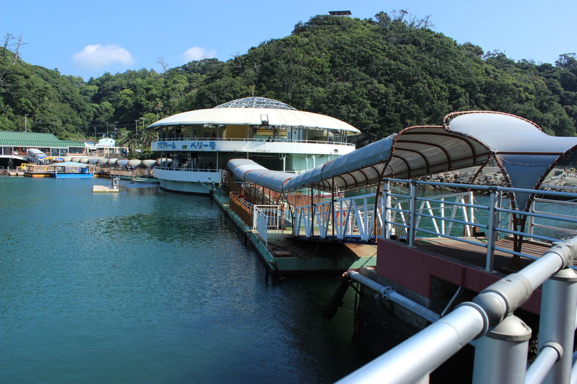 11月に行きたい下田海中水族館