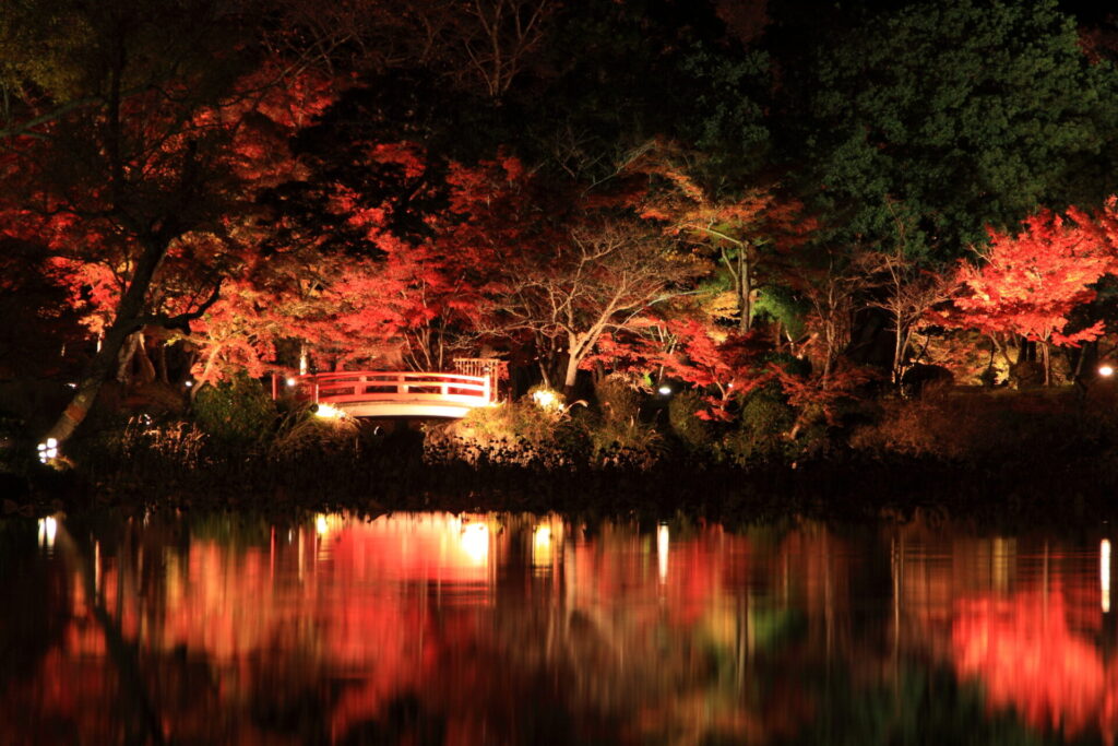 嵐山の紅葉ライトアップで京都の秋を満喫しましょう