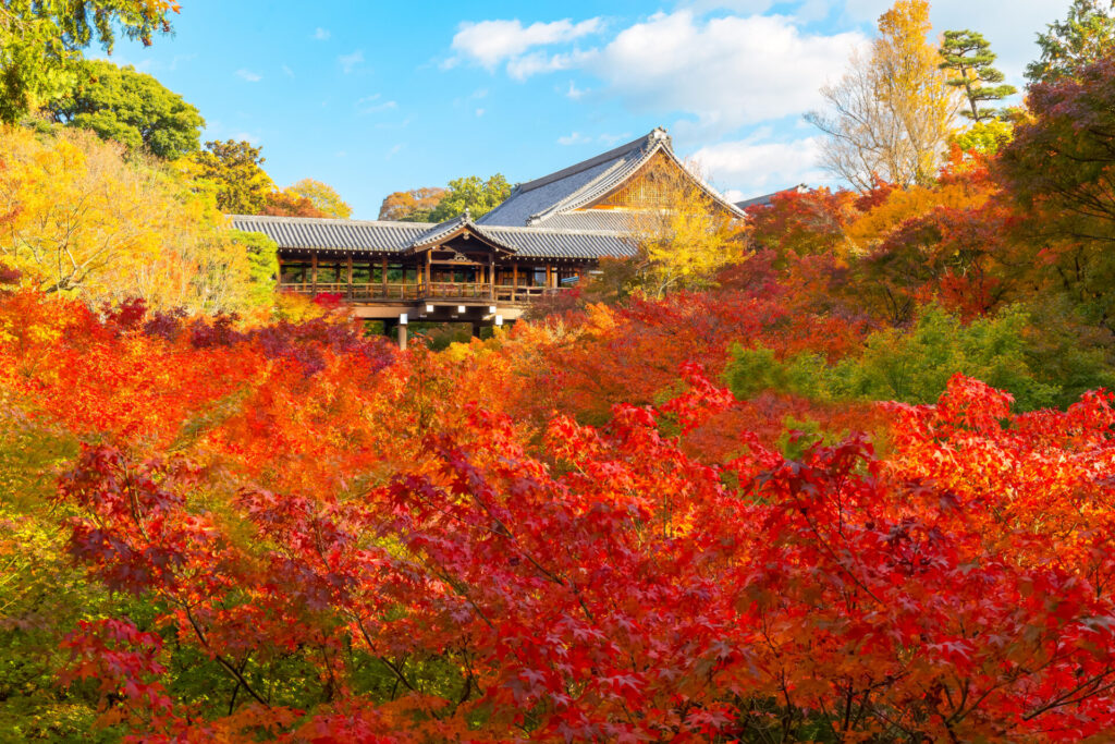 東福寺: 京都紅葉の最高峰