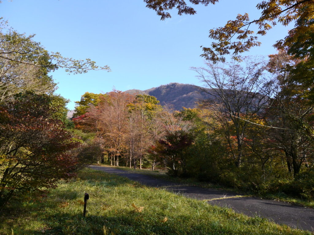 芦ノ湖周辺の紅葉