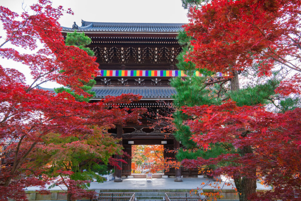 京都紅葉