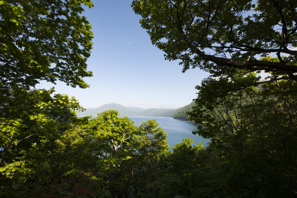 まとめ｜支笏湖を巡る、充実した北海道旅行を