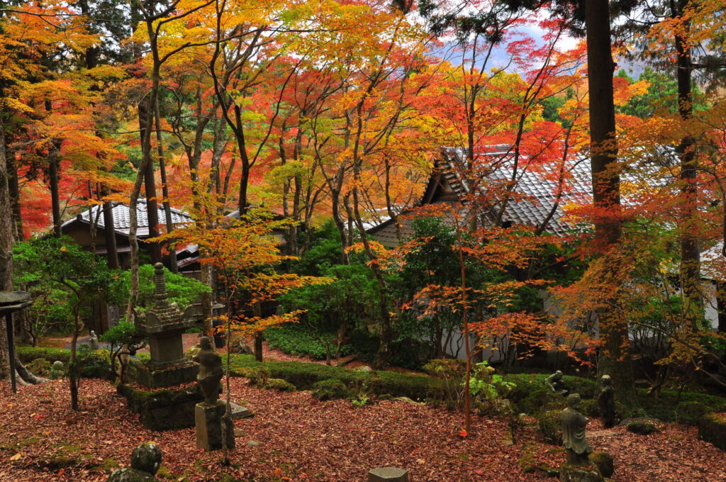 箱根の秋