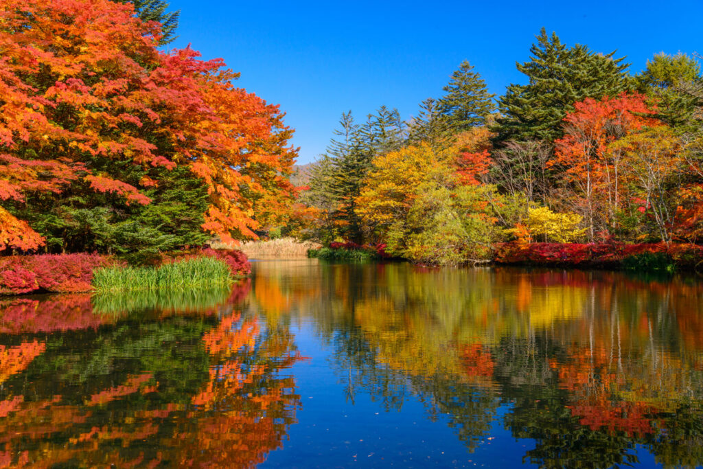 美しい紅葉と湖