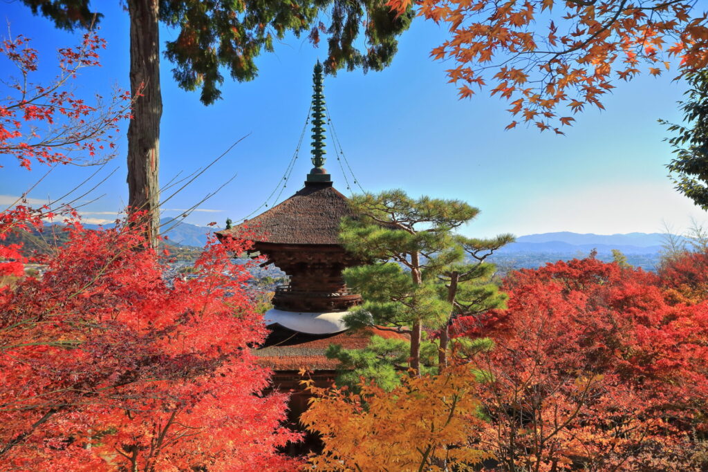 京都市内を一望できる嵐山の紅葉スポット「常寂光寺」