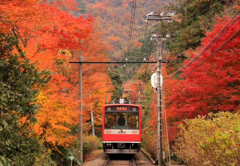 箱根登山鉄道と紅葉