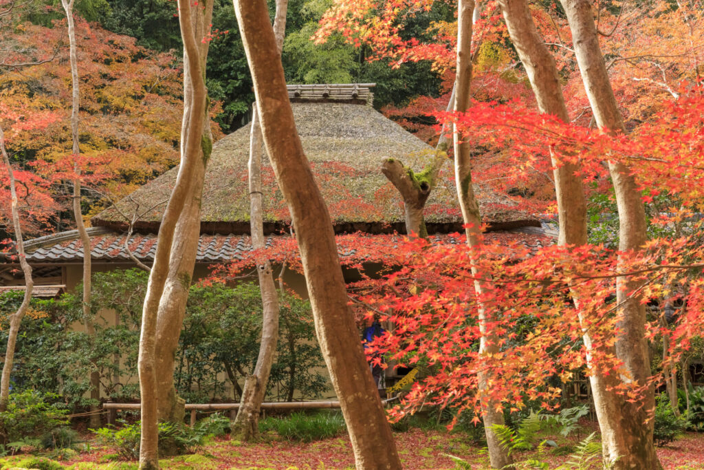 京都　嵐山