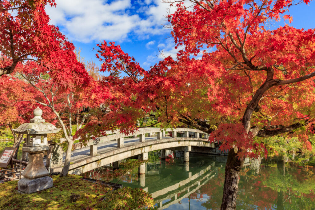 京都　永観堂