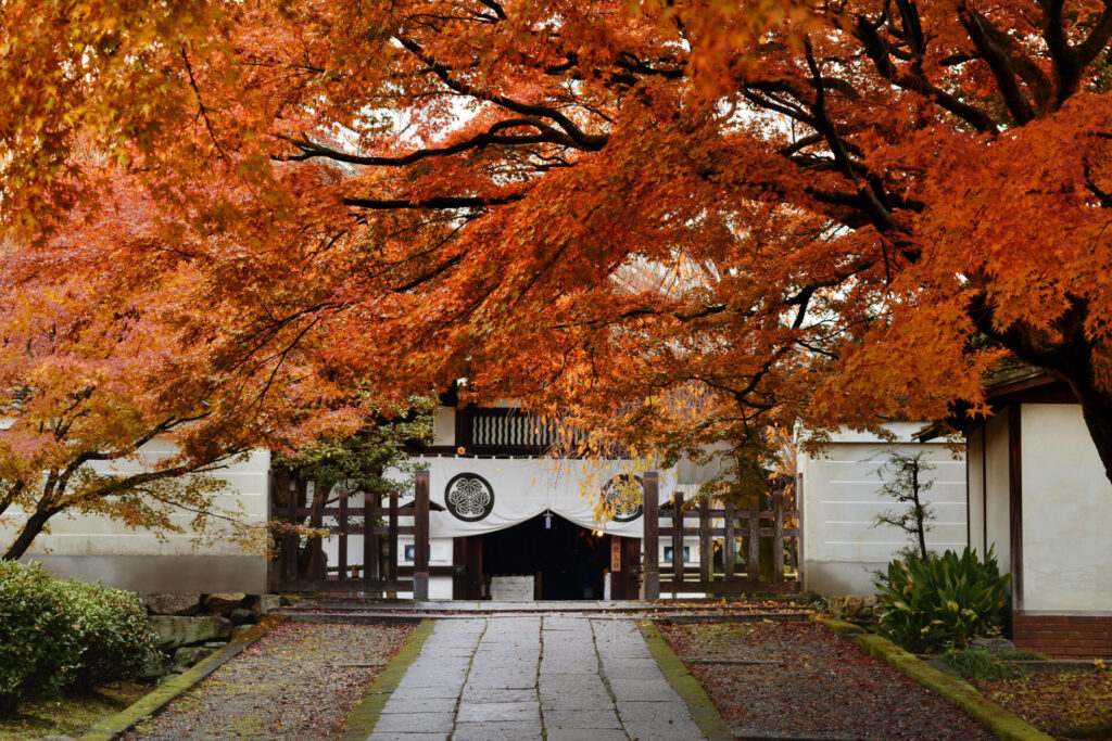 京都・養源院の紅葉