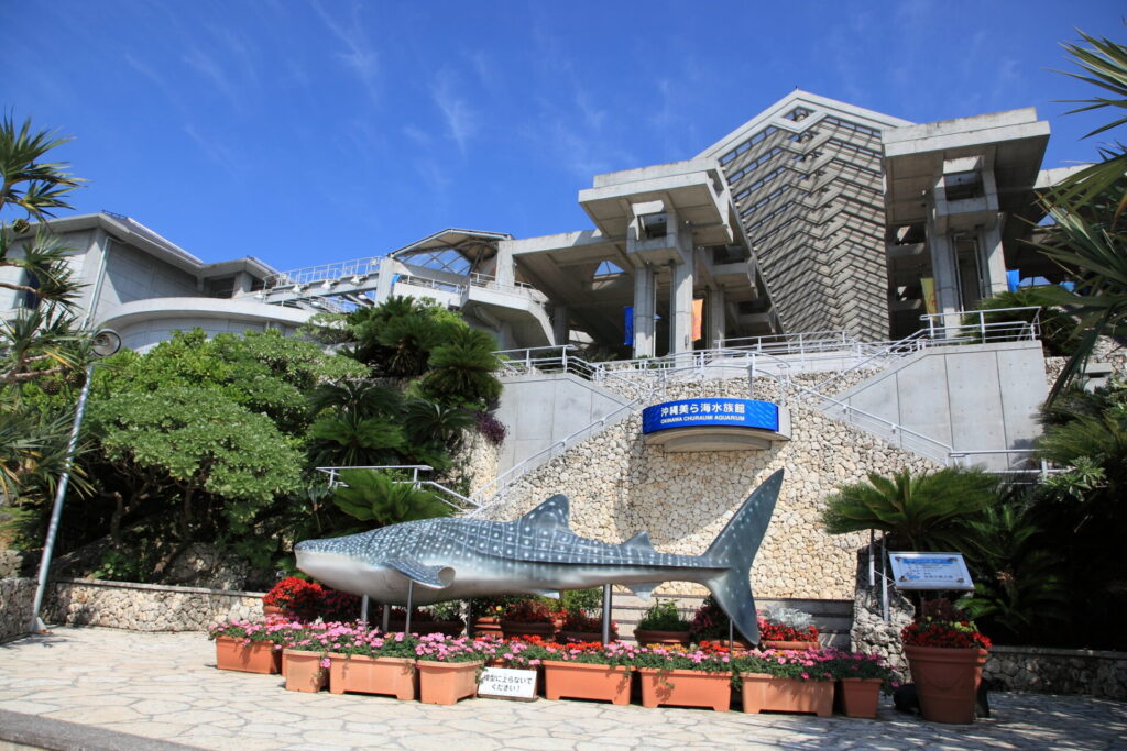 午前: 海洋博公園 沖縄美ら海水族館