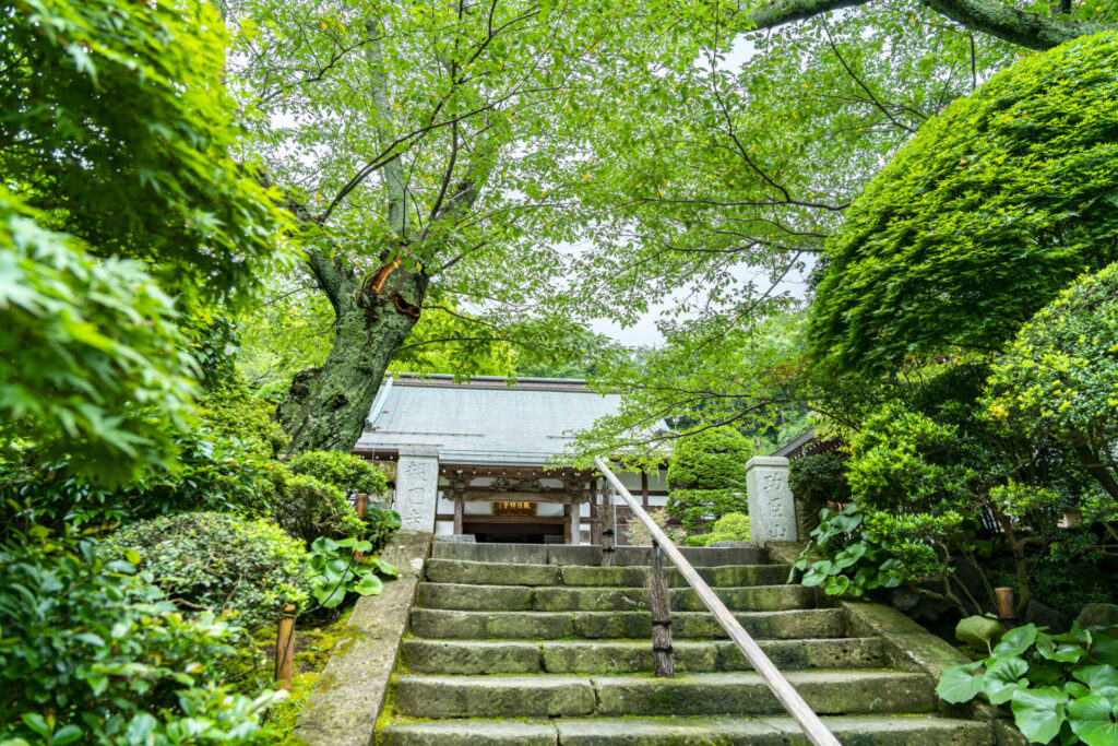 緑あふれる報国寺