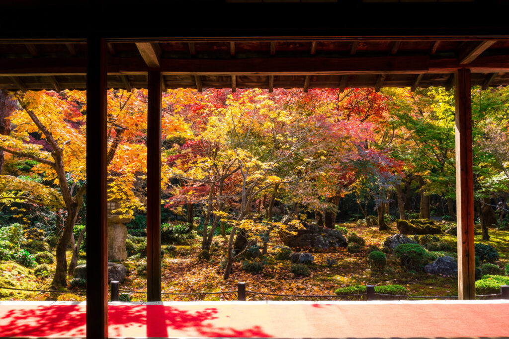 圓光寺で楽しむ紅葉