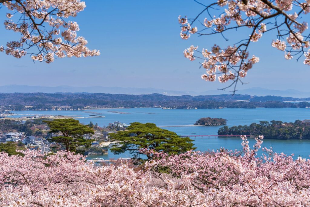 西行戻しの松公園からの景色