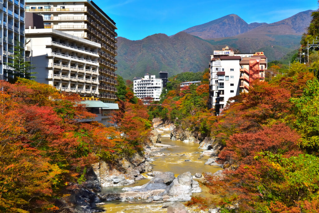 夜：鬼怒川温泉でリフレッシュ