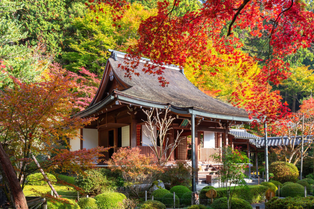 秋の寂光院