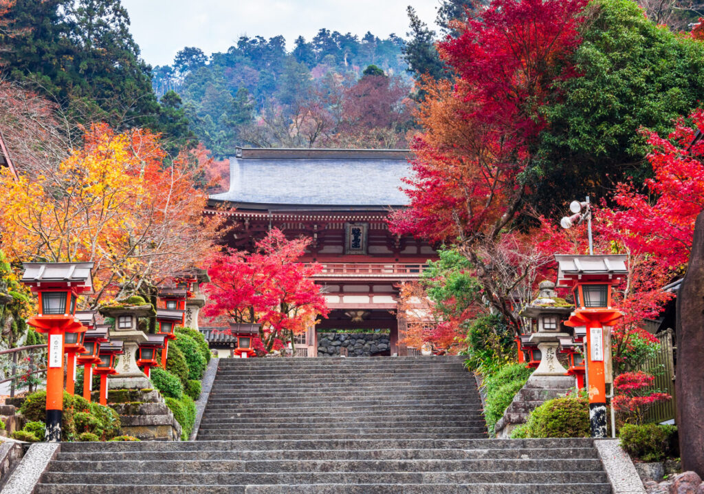 京都　紅葉