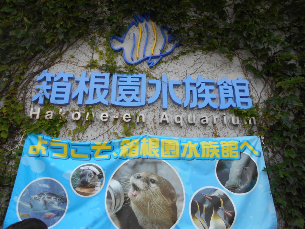 箱根水族館