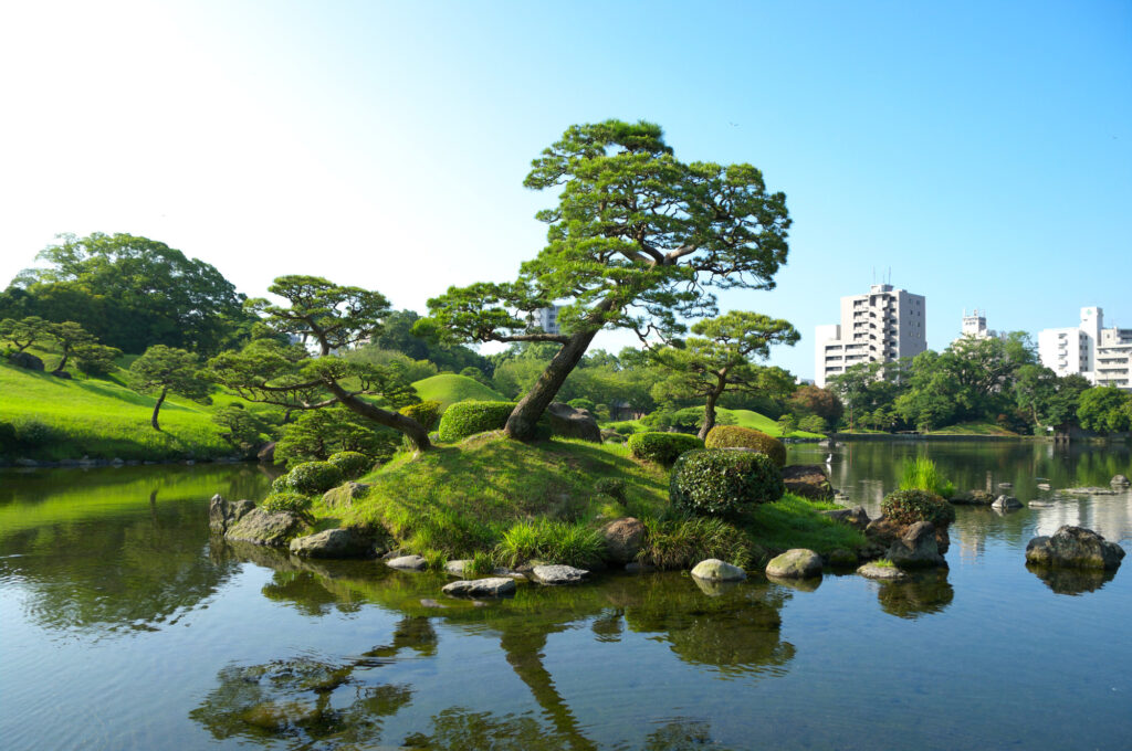 熊本城の池