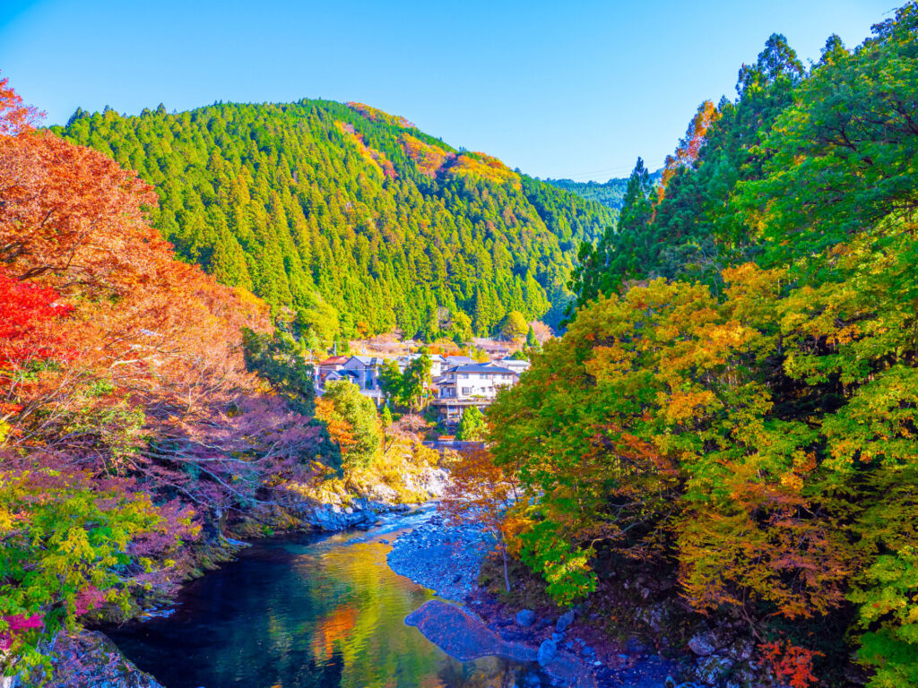 奈良の定番紅葉スポットとその見頃