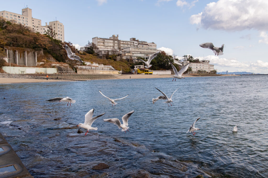 愛知　温泉