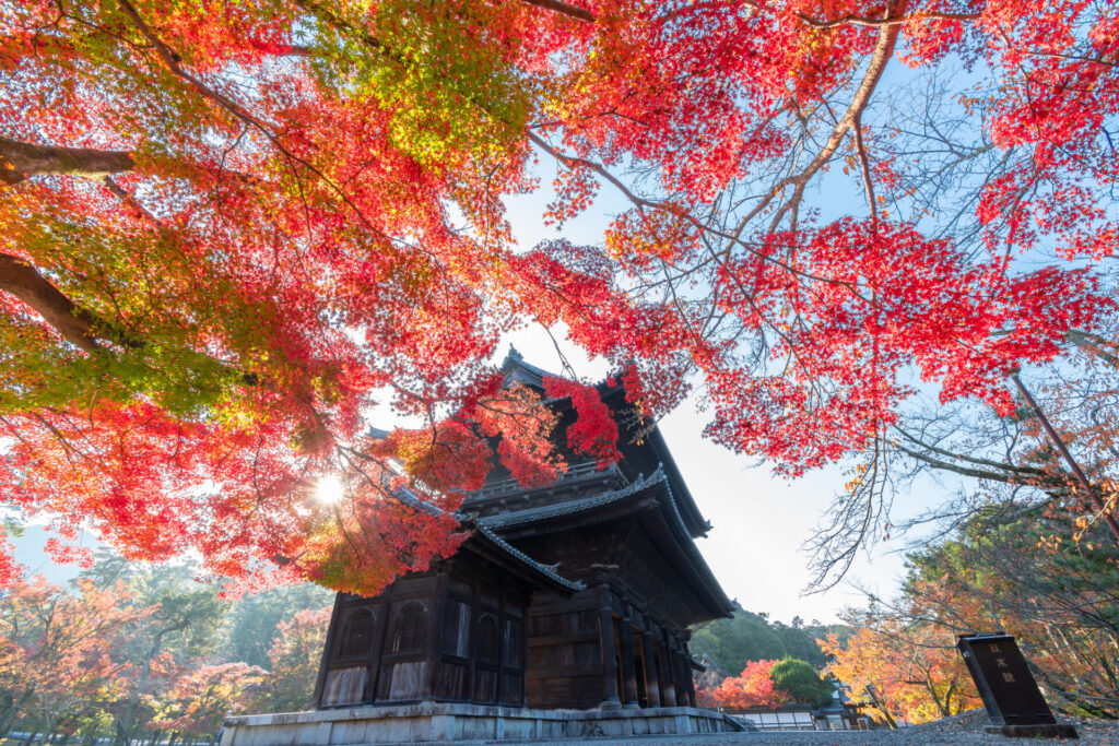 京都　紅葉