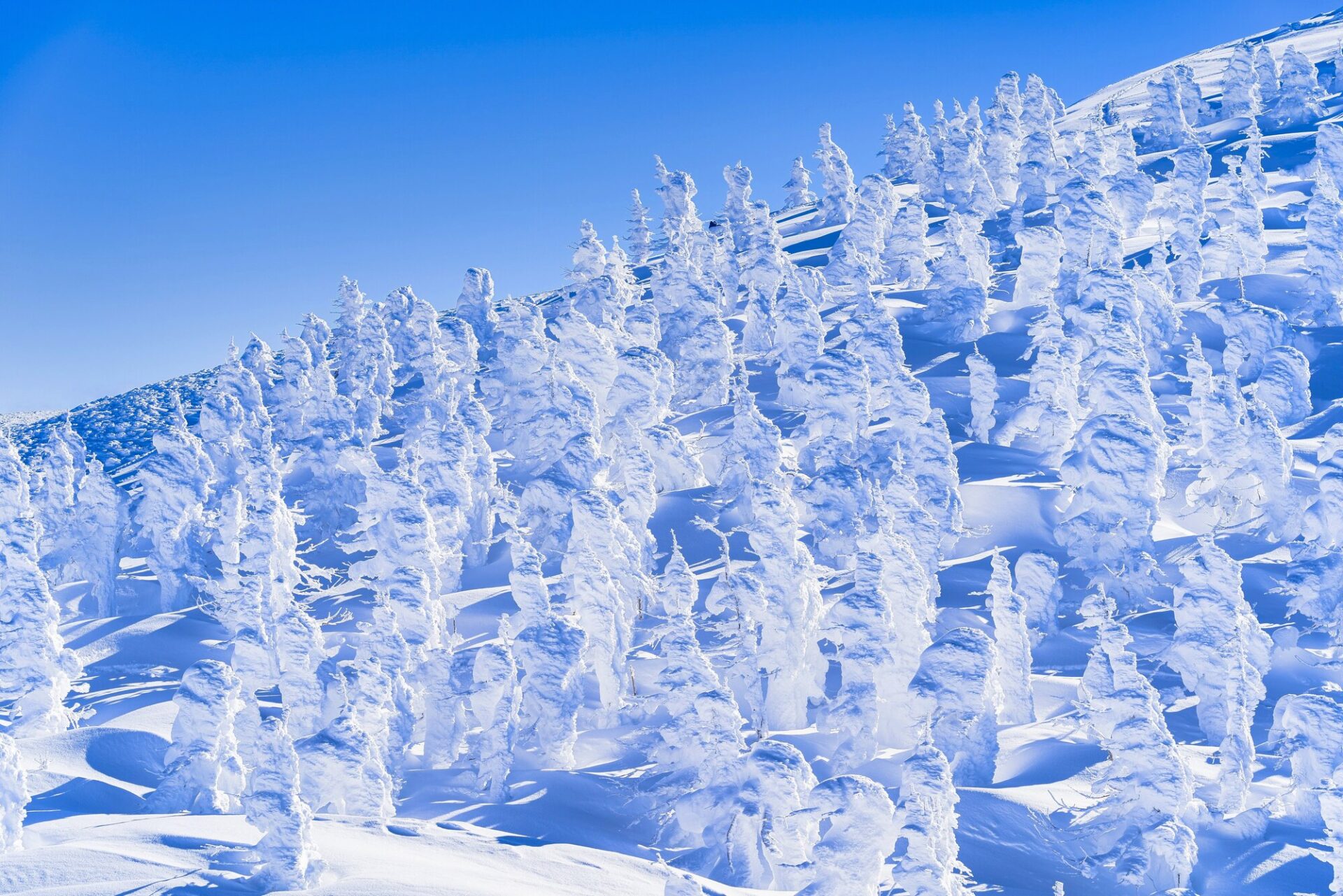 山形 温泉 おすすめ