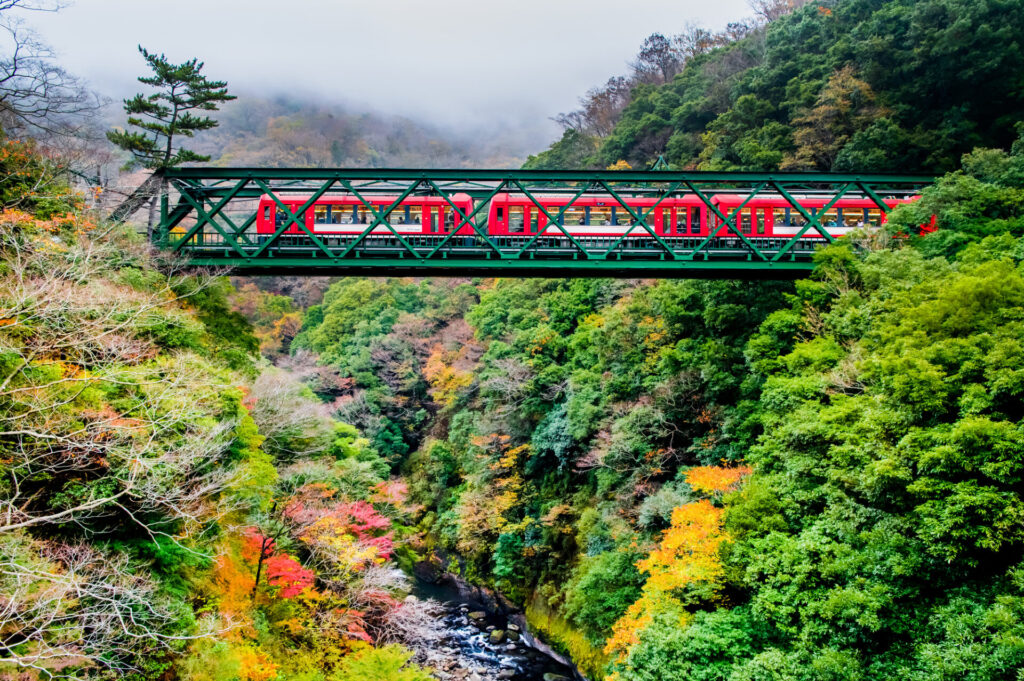 箱根観光のお得な情報