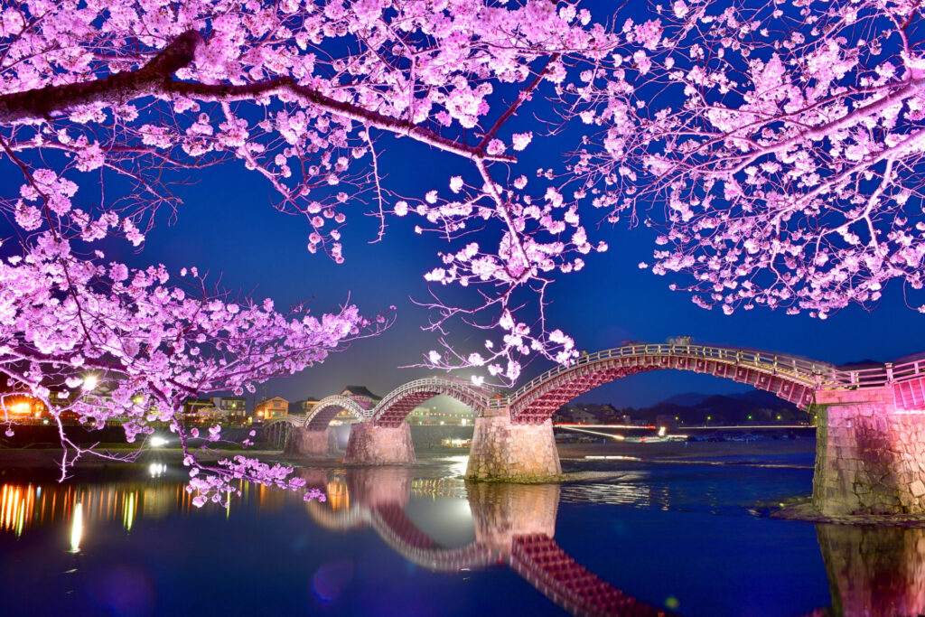 夜: 錦帯橋のライトアップ見学