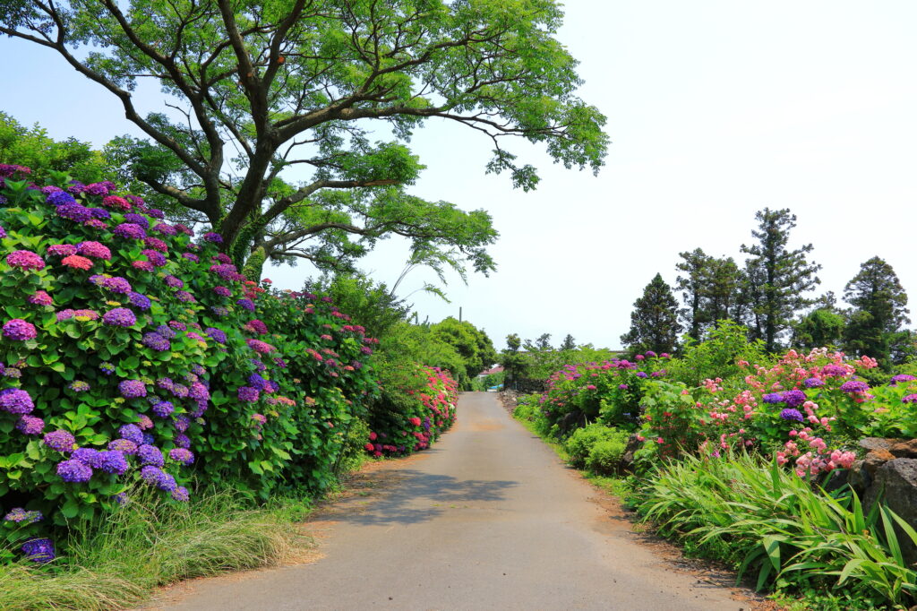 済州島の公園と庭園
