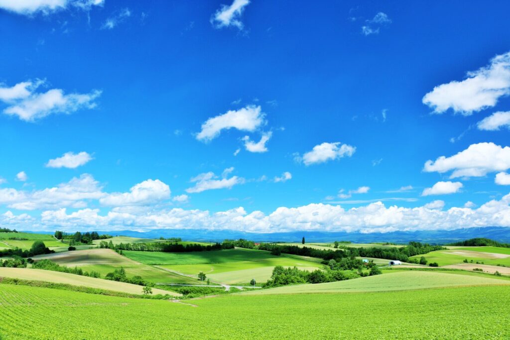  北海道　爽やかな青空と美瑛の風景 