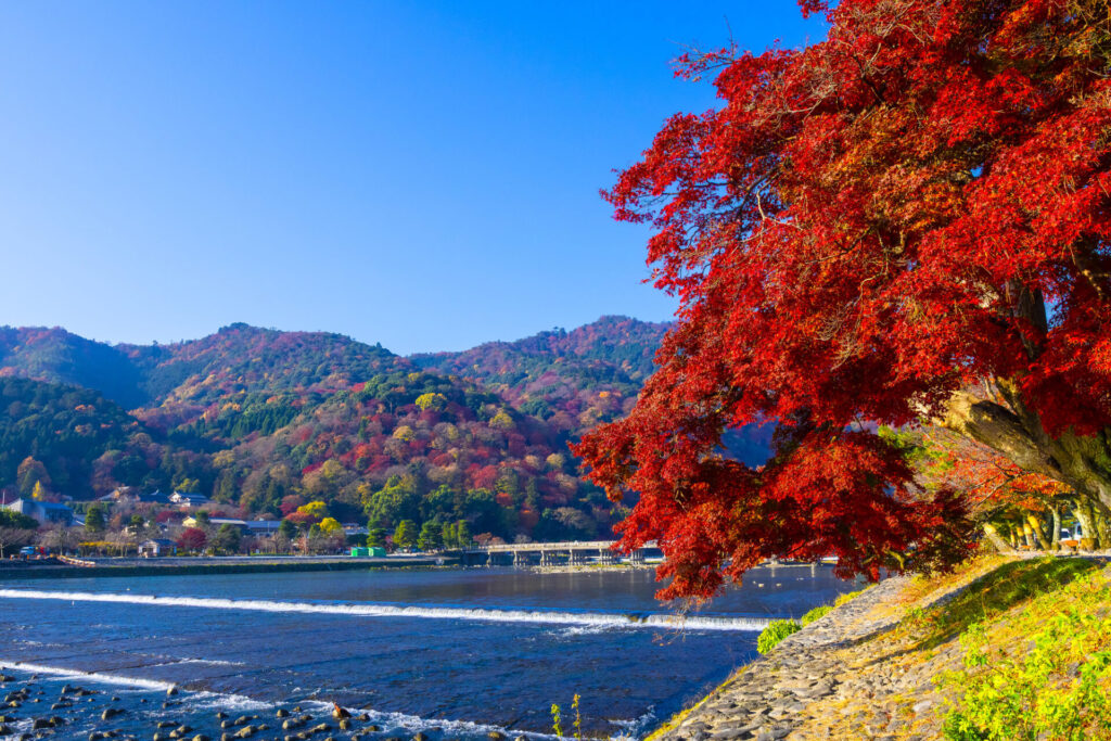 穴場スポットで嵐山・嵯峨野の紅葉を楽しもう