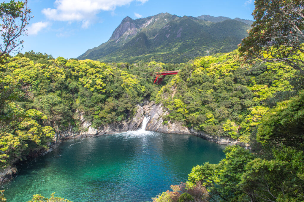 屋久島は、鹿児島県の南に位置する自然豊かな島